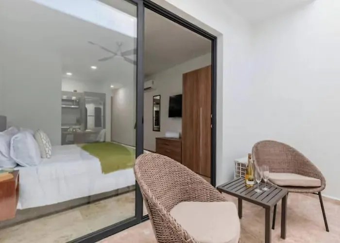 Menesse 38 Studio King Bed Roof Pool Playa Center
