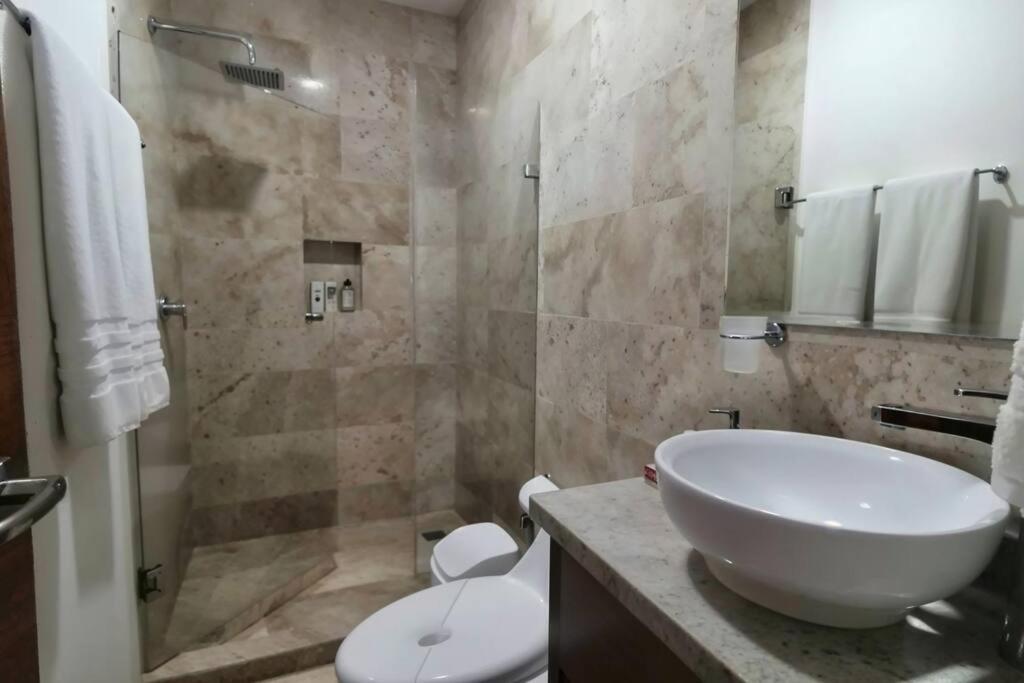 Menesse 38 King Bed Roof Pool Playa Center Playa del Carmen